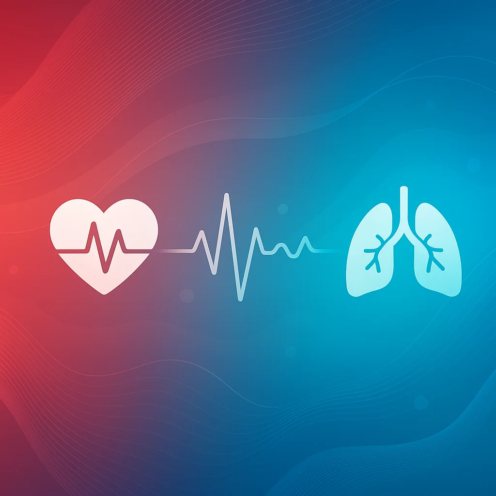 Explorări Funcționale